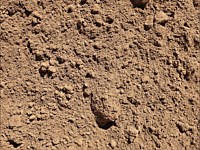 Building Stone Selection